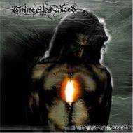 Thine Eyes Bleed : In the Wake of Separation